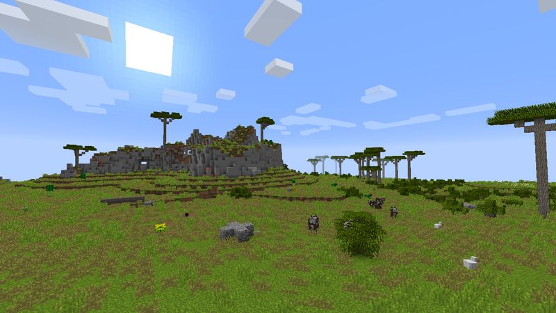 Terrain Terrain